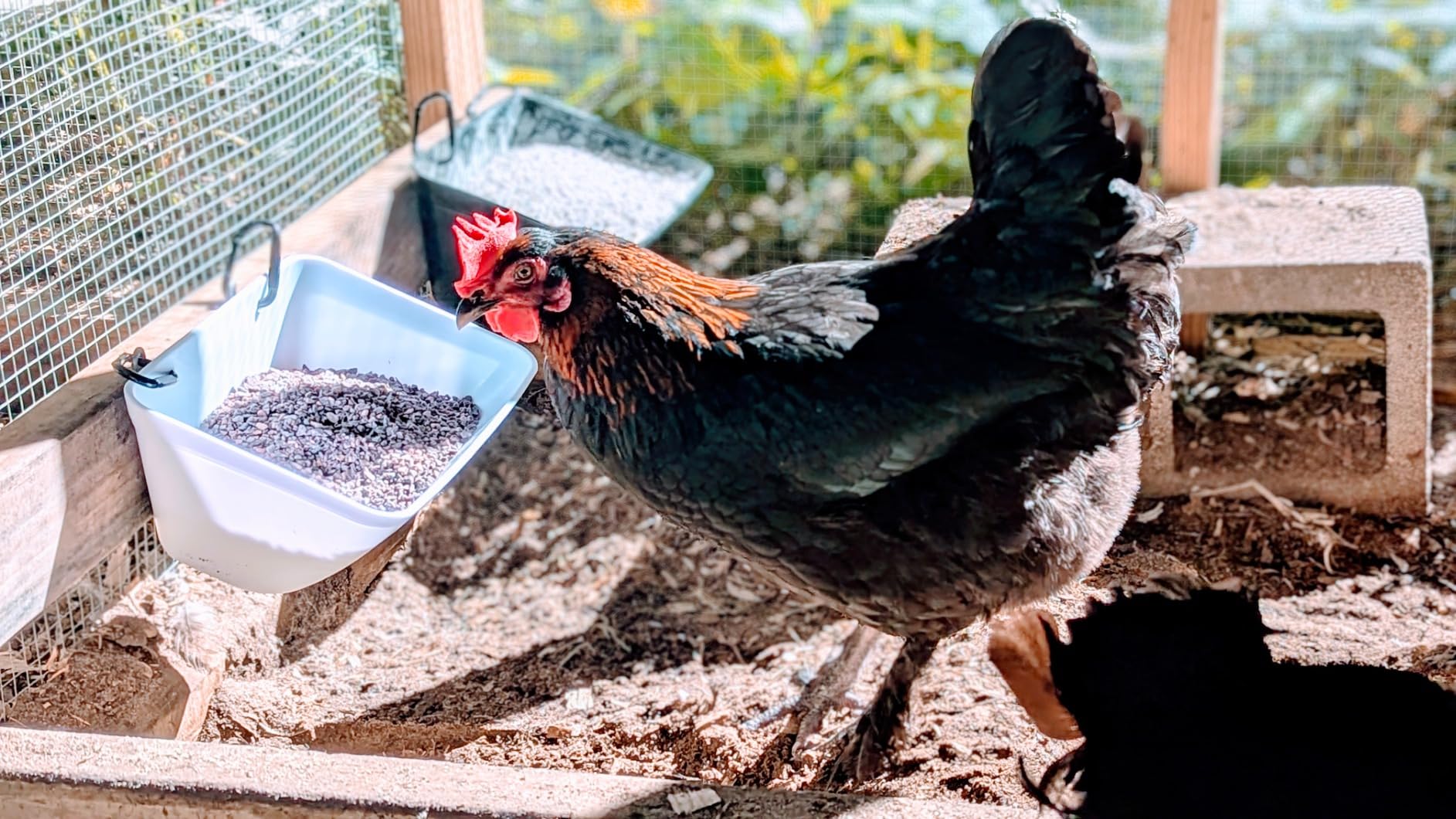 Hanging Chicken Feeder Trough for Goat Sheep Deer Poultry Duck Chicken Fence Feeder Livestock Feeding Container Goats Supplies Feeders Waterer Bucket customer photo 1