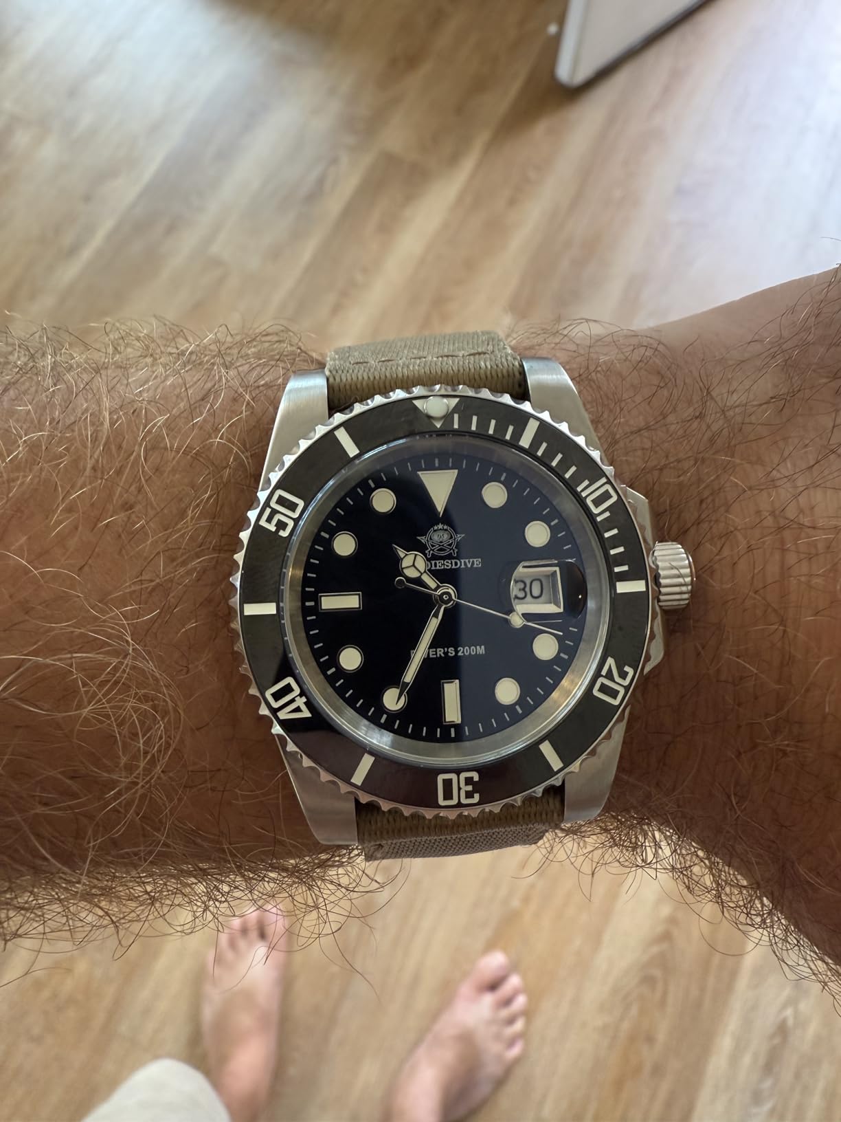 ADDIESDIVE 41mm Men's Dive Watch - 200M Waterproof, BGW9 Luminous Analog customer photo 2
