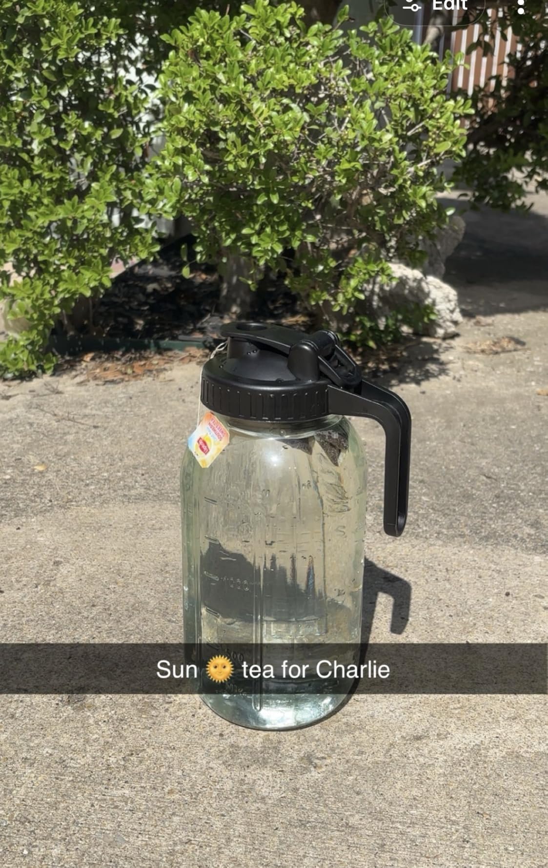 64oz Mason Jar Pitcher, 2quart Glass Pitcher with Lid for Tea & Cold Brew | BPA Free, Leakproof, Fridge/Dishwasher safe, Ergonomic handle, Flip-cap pour spout, Wide mouth, Versatile customer photo 1
