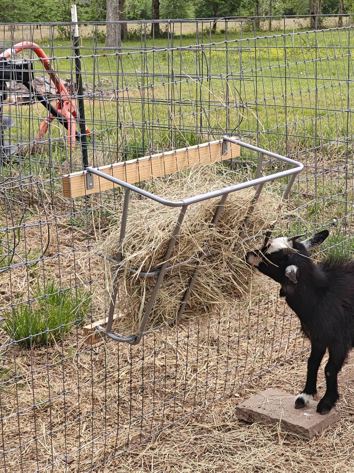 Hay Feeder Goat, 20 Gallon Multiple Sided Goat Hay Rack, Heavy Duty Iron Wall Hay Rack for Sheep, Horses, Effortless Installation in Farm, Yield customer photo 1