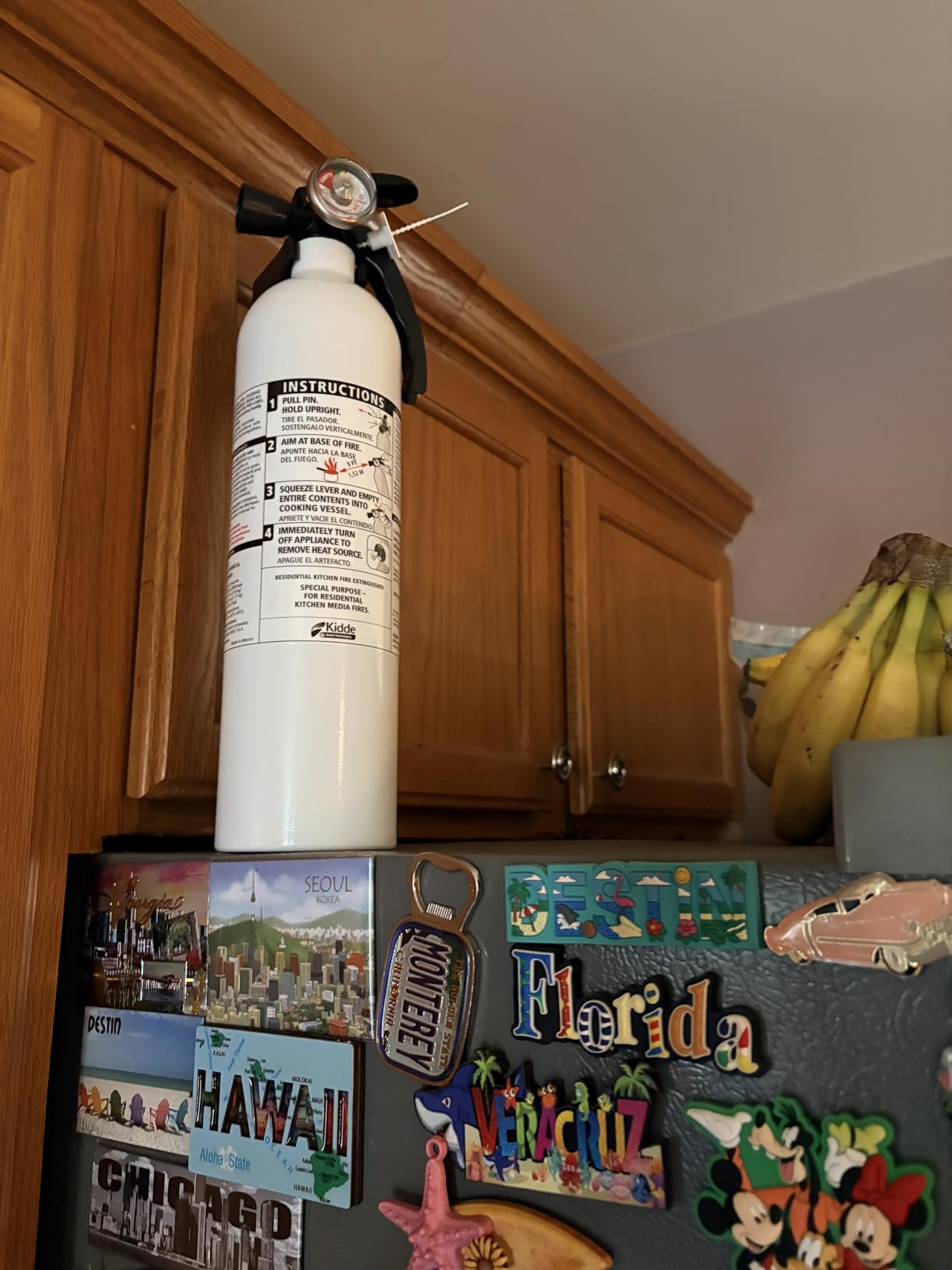 Kidde Kitchen Fire Extinguisher, 711A, RESSP | Home Extinguisher for Small Cooking Oil and Grease Fires in Residential Kitchens, 2.5 lb. Dry Chemical customer photo 2