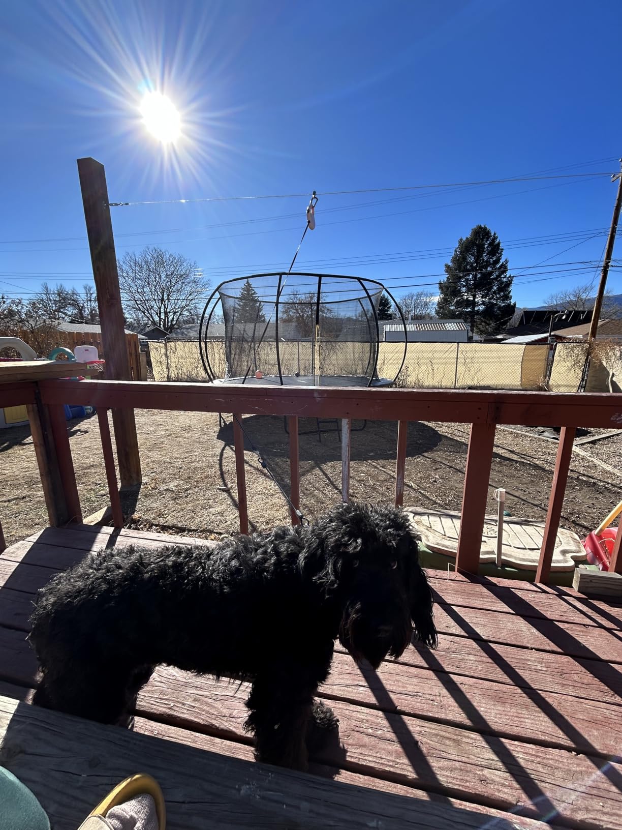 Dog Tie Out Runner for Yard, Trolley System for Large Dogs, Heavy Duty Dog Run Cable Lead 50ft with 10ft Pulley Runner Line for Small Medium and Large Dogs Up to 250lbs Running Outside Yard or Camping customer photo 1