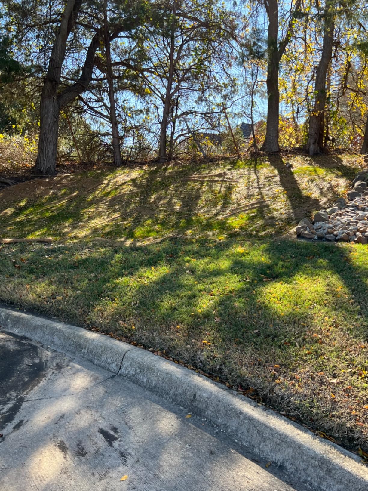 Farm Plastic Supply - Erosion Control Blanket - Coconut Garden and Landscape Cover (2' x 112.5') customer photo 1
