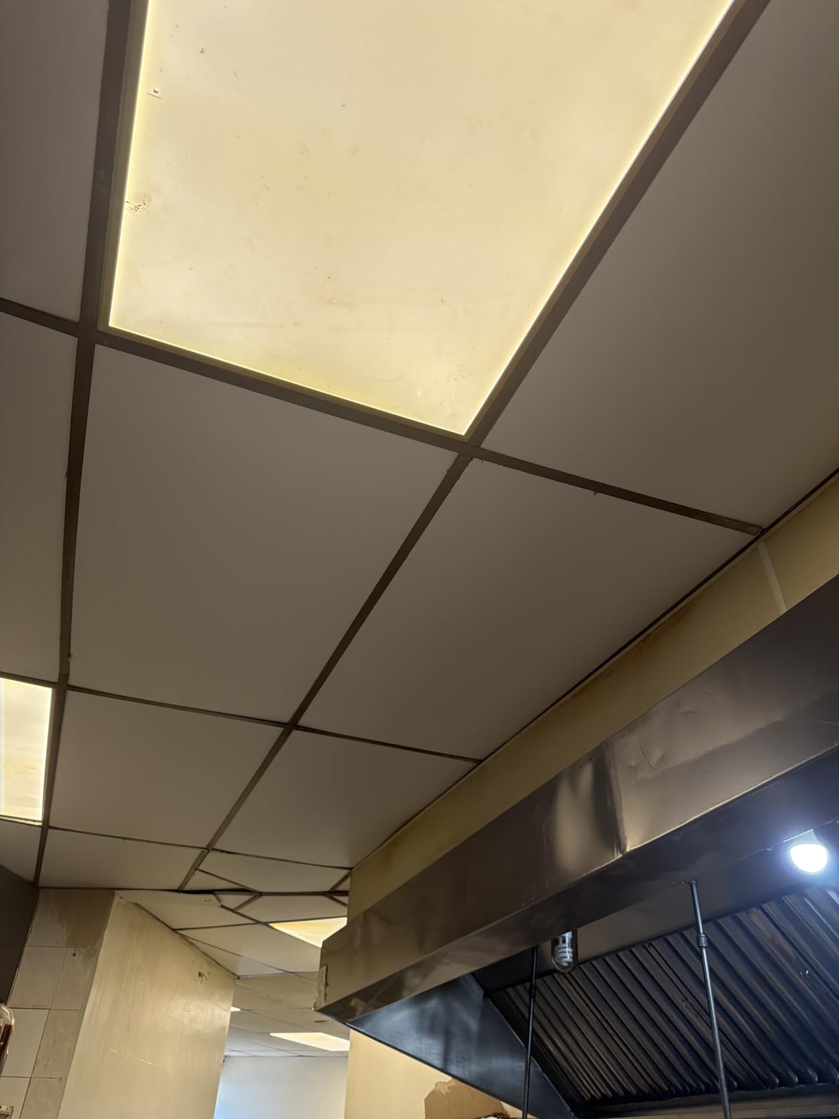 PVC Drop Ceiling Tiles 2ft x 4ft - Waterproof, Fire-Rated, Commercial Grade, Washable and Scratch Resistant, No Sag and Breakage - Case of 10 (80 sq. ft.) customer photo 1