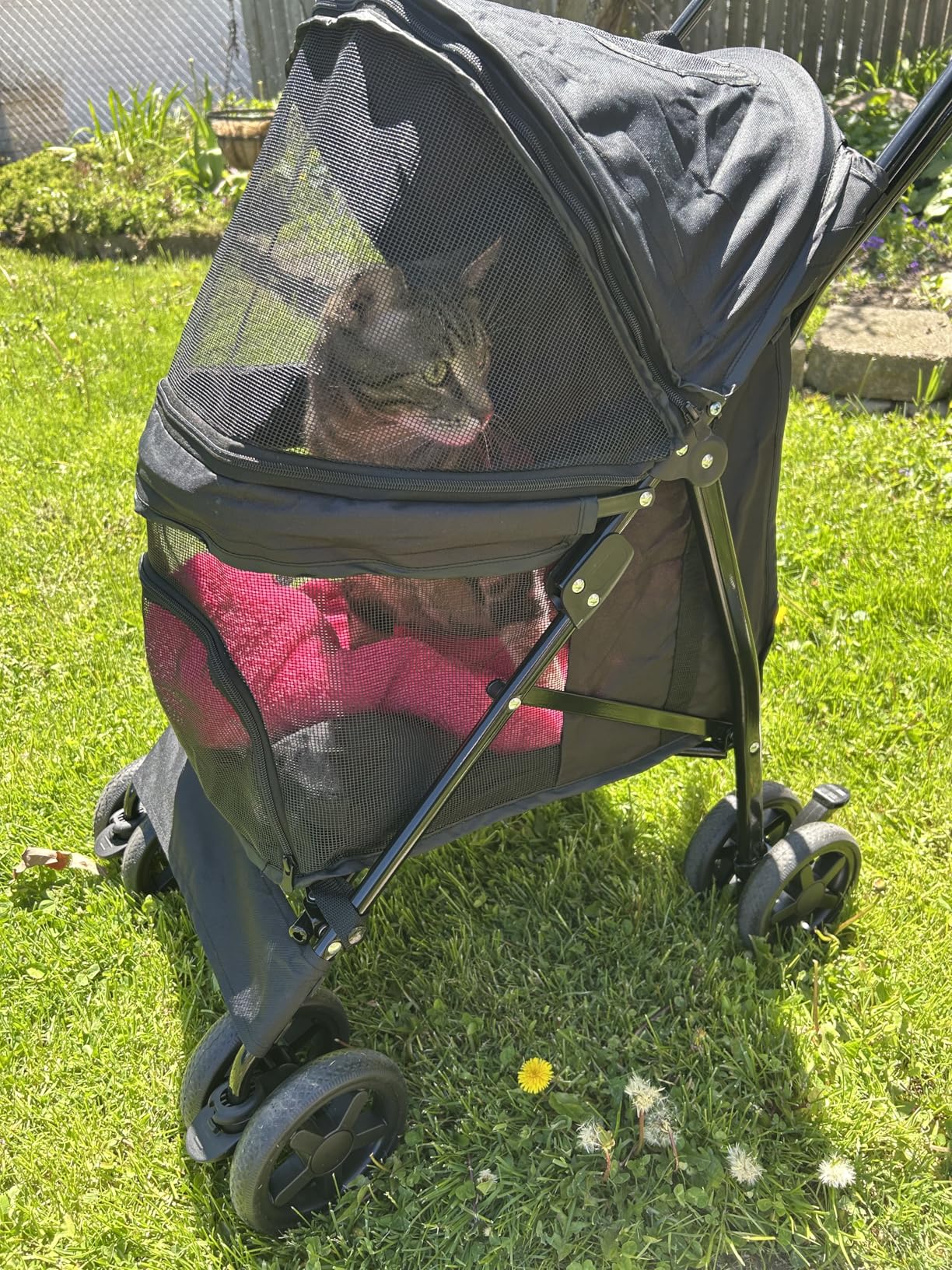 MoNiBloom 4 Wheels Pet Stroller, Easy-Fold Puppy Cage Jogger Stroller with Sun Cover, Pad and Rear Storage Bag, Breathable and Visible Mesh for Small/Medium Pets up to 22 lbs, Black customer photo 1