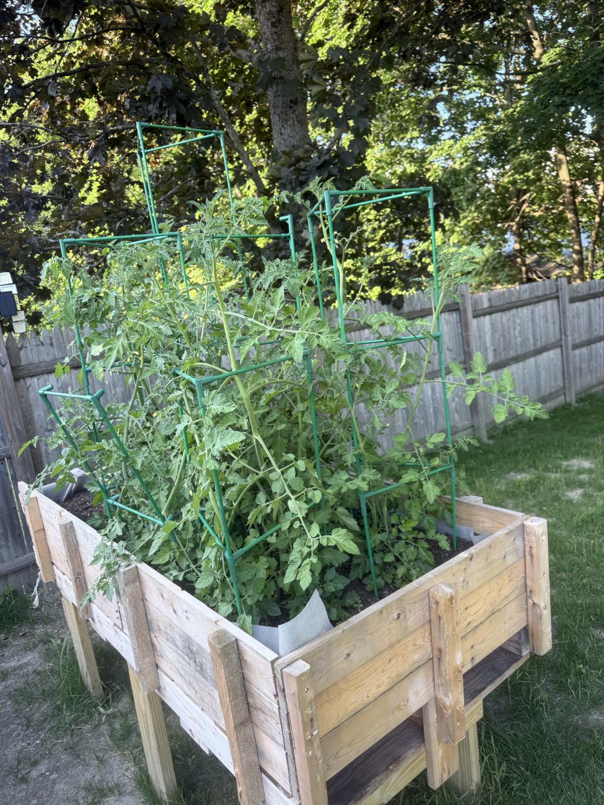 Cucumber Trellis for Raised Beds, 45 x 53 Inch Adjustable Size A-Frame Garden Trellis for Climbing Plant Outdoors with Climbing Net and Plant Support Clip for Vegetable Grape Tomato Bean Pea customer photo 1