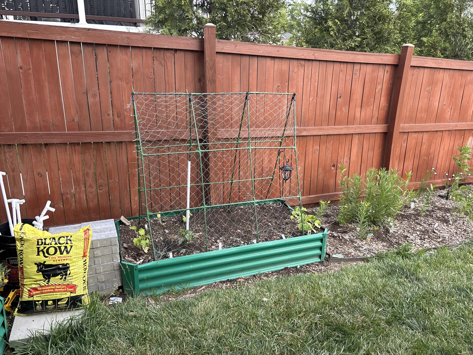 Cucumber Trellis for Raised Beds, 45 x 53 Inch Adjustable Size A-Frame Garden Trellis for Climbing Plant Outdoors with Climbing Net and Plant Support Clip for Vegetable Grape Tomato Bean Pea customer photo 2