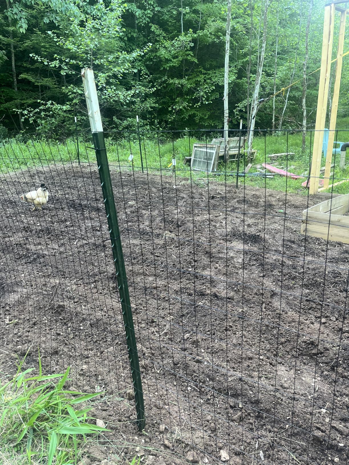 Tongmo 4 ft x 100 ft Galvanized Welded Wire Fence, 16GA Garden Chicken Wire Fence Roll, Mesh Size 2
