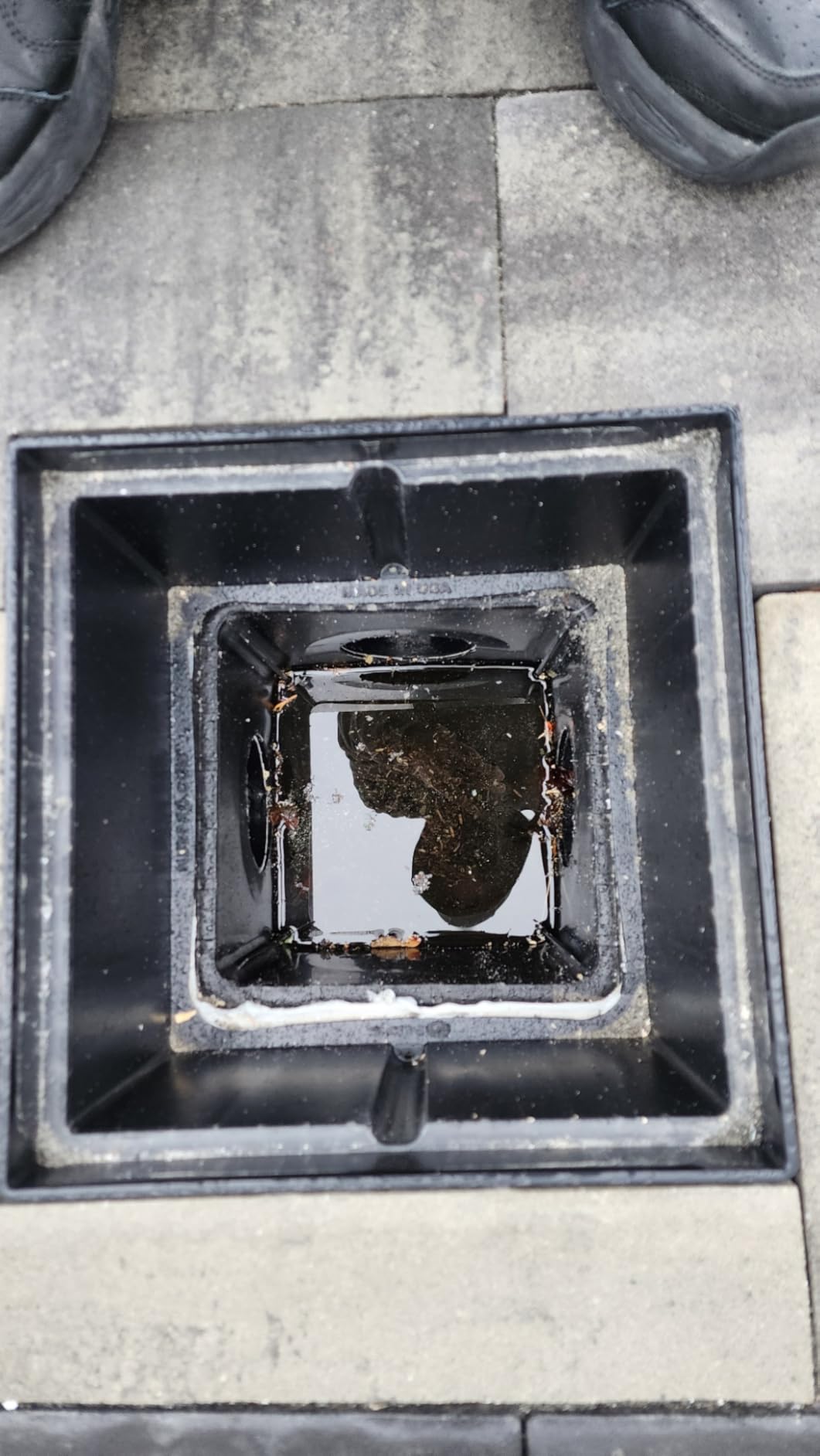 Upgrade 12 in Catch Basin Drainage Kit with Debris Basket Strainer customer photo 2