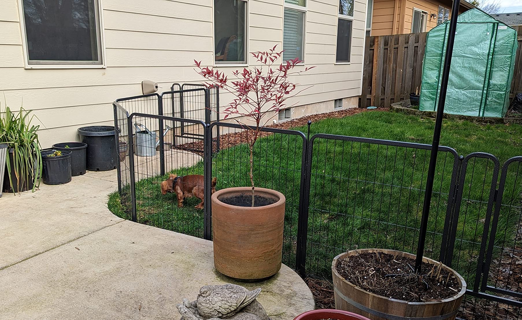 Mr IRONSTONE Dog Playpen with Anti-Rust Coating - 32