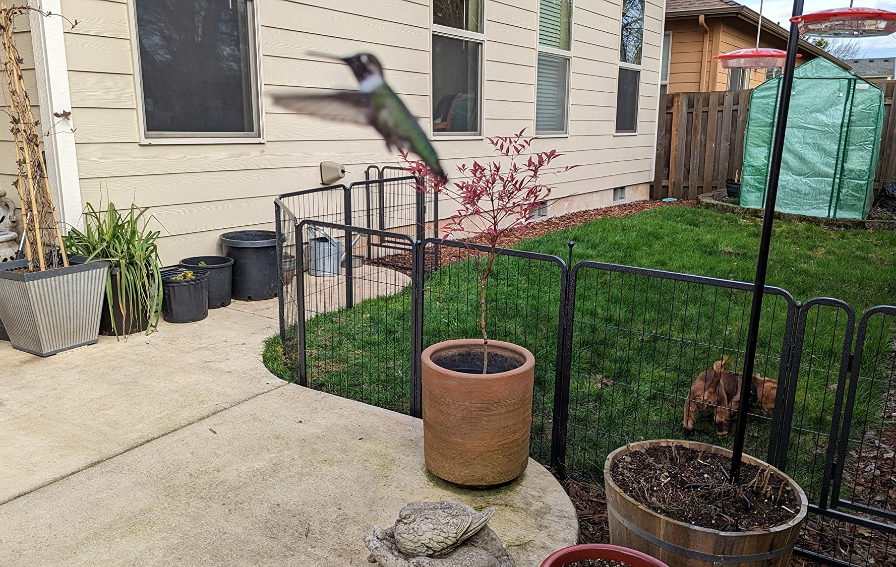 Mr IRONSTONE Dog Playpen with Anti-Rust Coating - 32