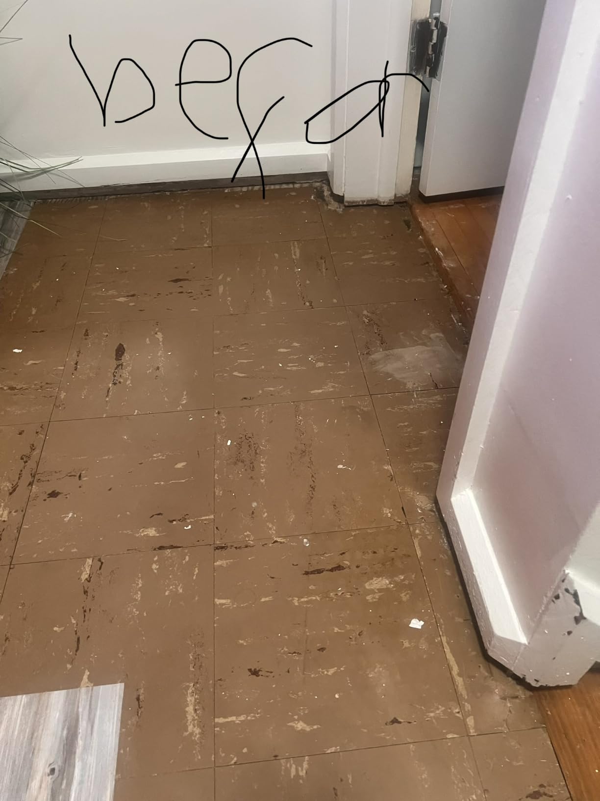 Wood Grain Peel and Stick Floor Tiles - 11.8