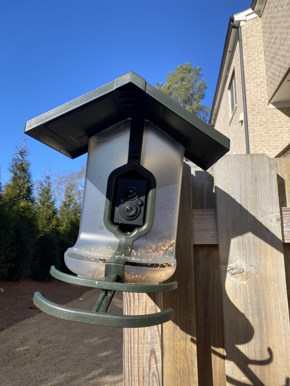 FeatherSnap Smart Bird Feeder: AI Bird ID, Solar Power, Wi-Fi Connectivity, Sends HD Pictures and Videos to Your Phone, Two Seed Bins, Multiple Mounting Options - Best Smart Bird Feeder customer photo 2