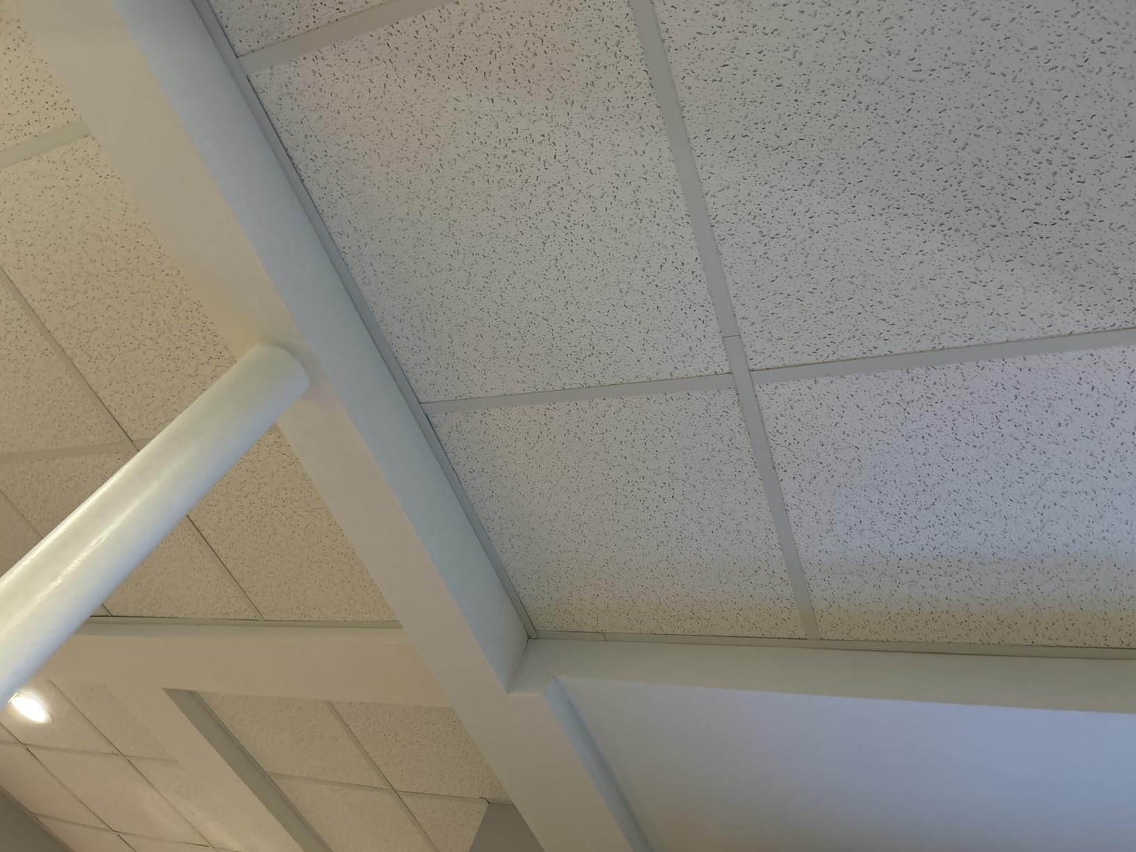 2ft x 2ft Printed Pro Ceiling Tiles Waterproof, Washable and Fire-Rated - High-Grade PVC Ceiling Tiles 24