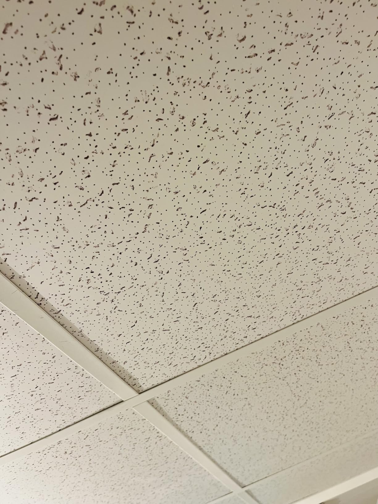 2ft x 2ft Printed Pro Ceiling Tiles Waterproof, Washable and Fire-Rated - High-Grade PVC Ceiling Tiles 24