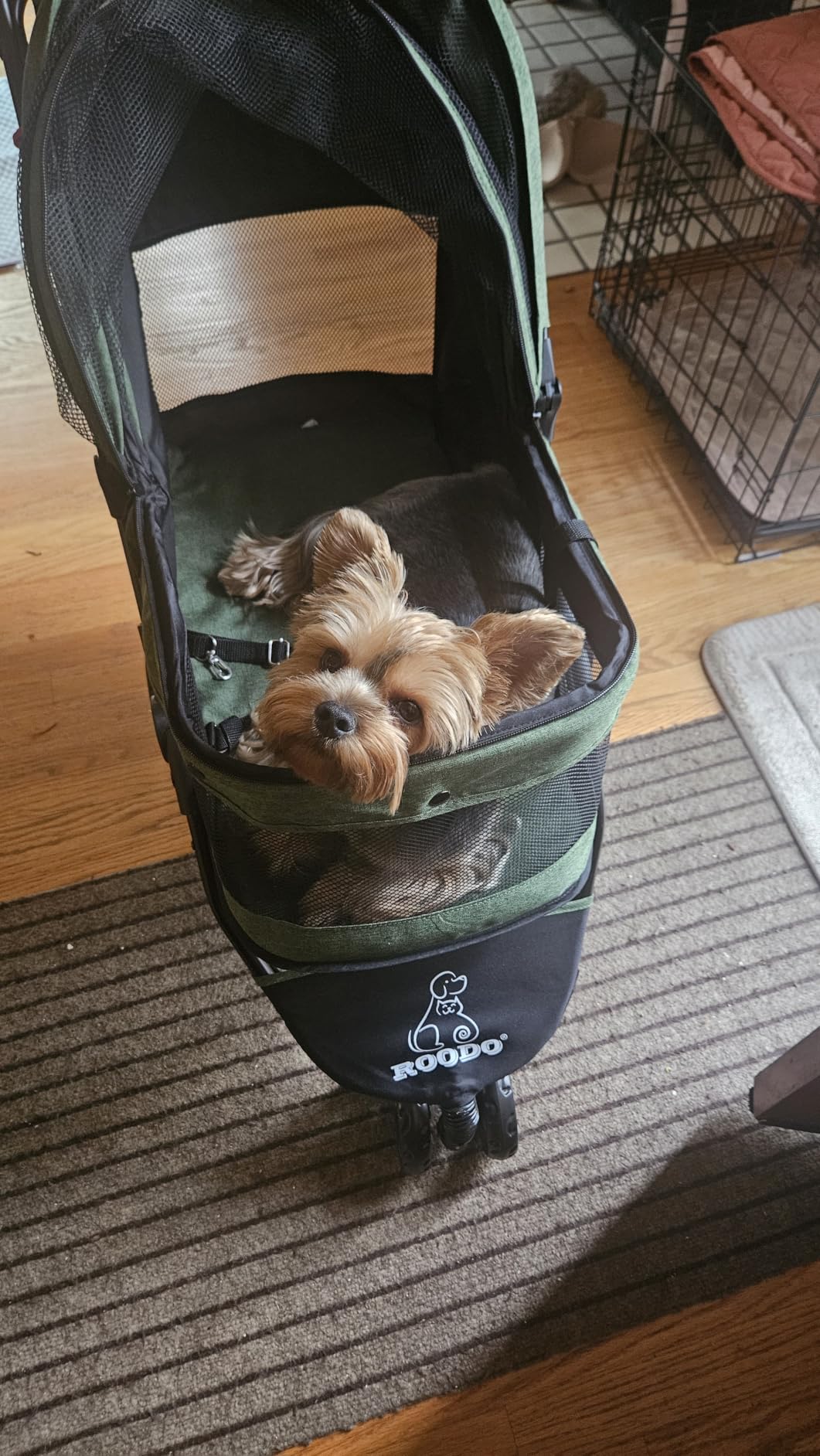 ROODO 3 Wheel Dog Pet Cat Stroller Best Lightweight Foldable Compact Portable Jogger All Terrain Travel Pet Gear Puppy Kitty Stroller for up to 30lbs Medium Small Dogs and Cats (Light Khaki) customer photo 1