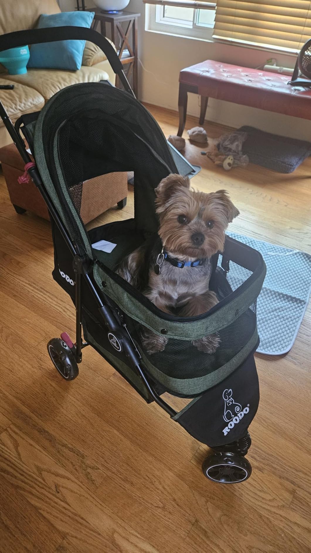 ROODO 3 Wheel Dog Pet Cat Stroller Best Lightweight Foldable Compact Portable Jogger All Terrain Travel Pet Gear Puppy Kitty Stroller for up to 30lbs Medium Small Dogs and Cats (Light Khaki) customer photo 2
