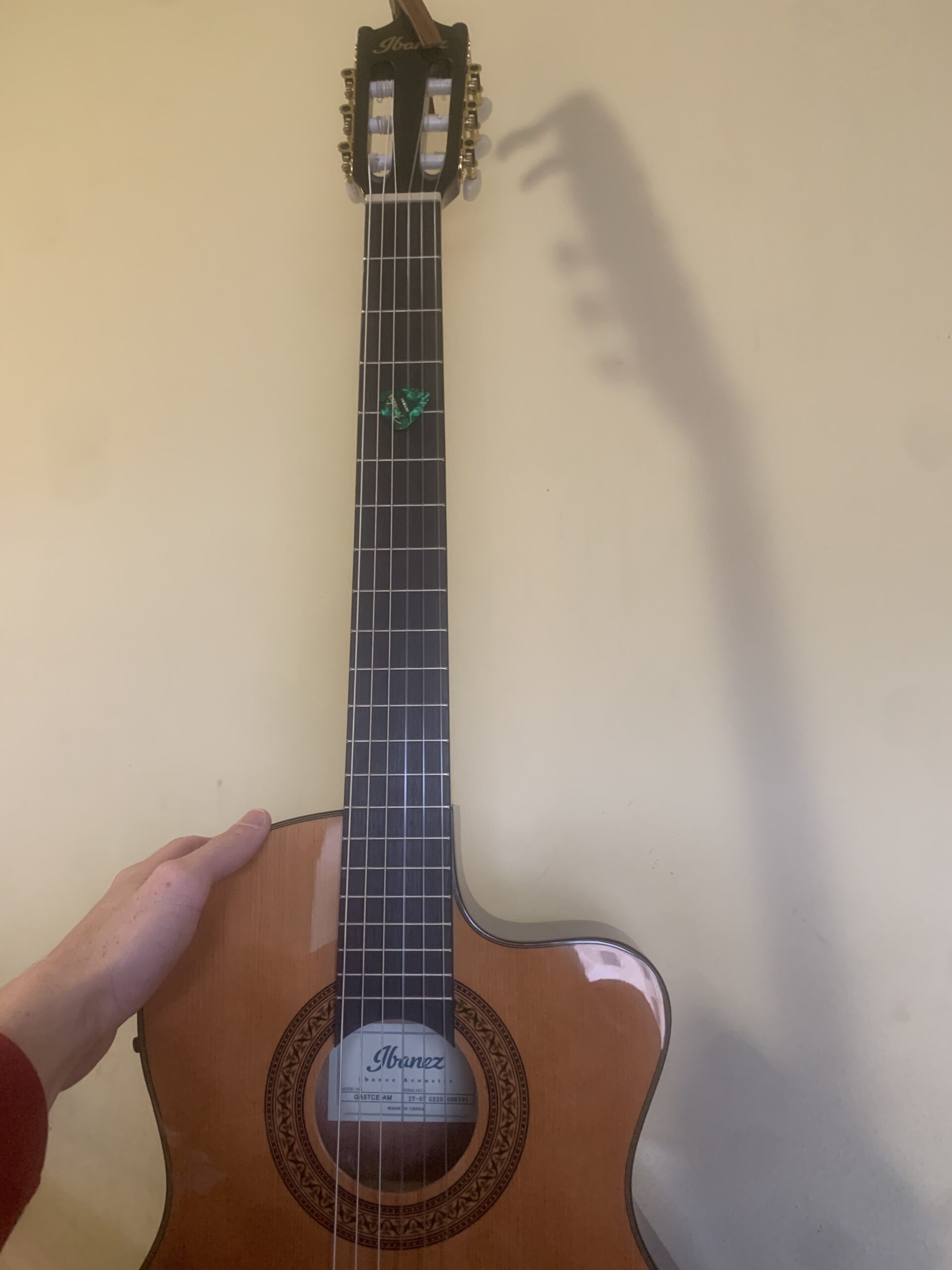 Ibanez GA5FMTCE Thinline Nylon Acoustic-electric Guitar - Open Pore Berry customer photo 2