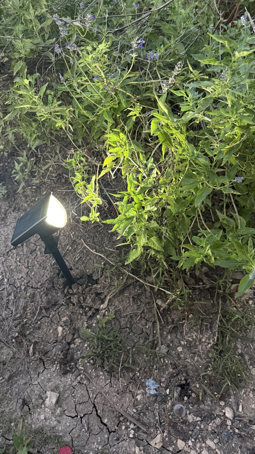 GKGG Solar Lights Outdoor Waterproof IP65, Solar Powered 76 LED 3 Lighting Modes Solar Spot Lights Outdoor for Yard Garden Landscape Pathway (Warm White, 4 Pack) customer photo 2