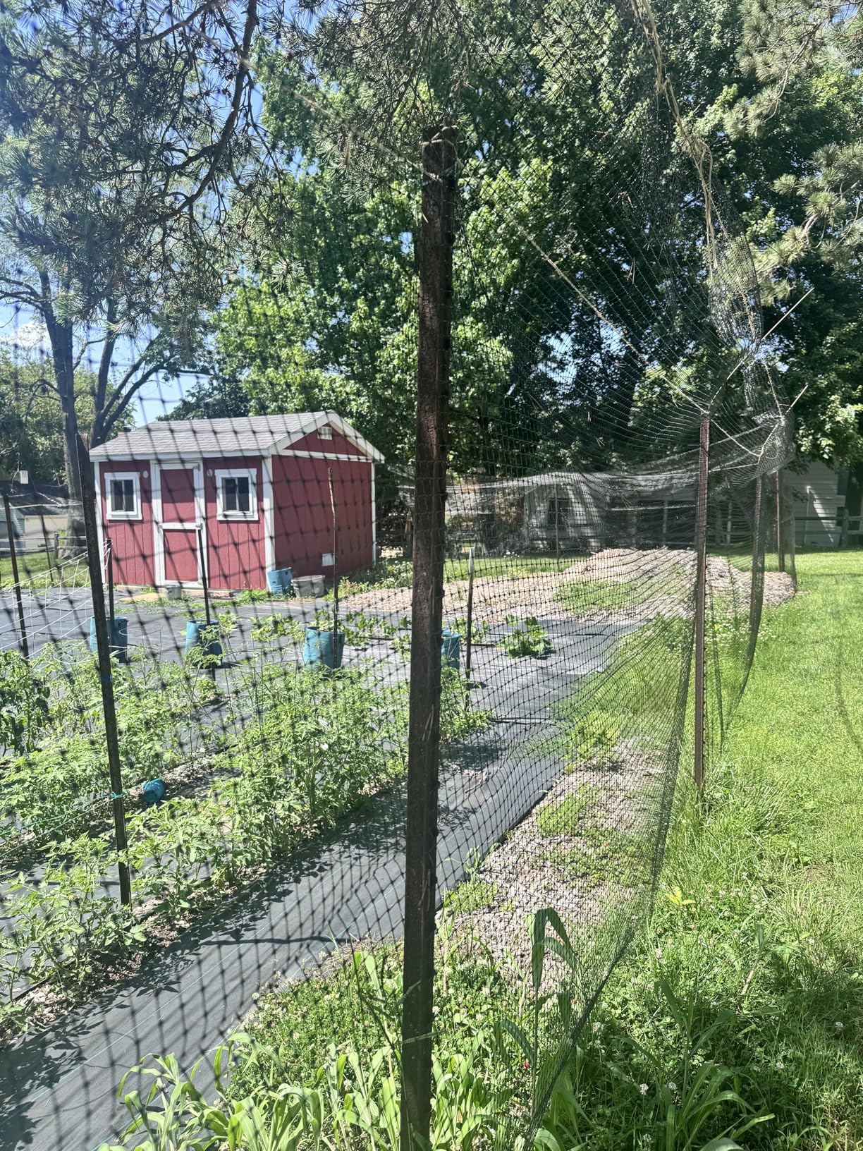 FRUITEAM 8ft×165ft Deer-Fence, Deer-Netting for Garden, Wildlife Netting, Heavy Duty Garden Fencing Roll customer photo 1