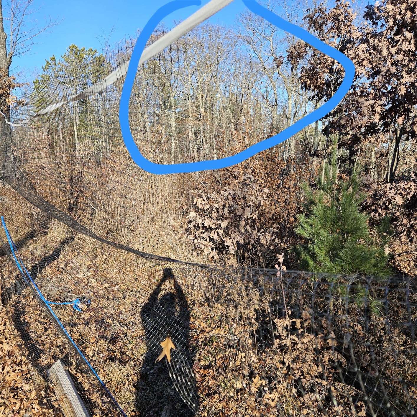 FRUITEAM 8ft×165ft Deer-Fence, Deer-Netting for Garden, Wildlife Netting, Heavy Duty Garden Fencing Roll customer photo 2