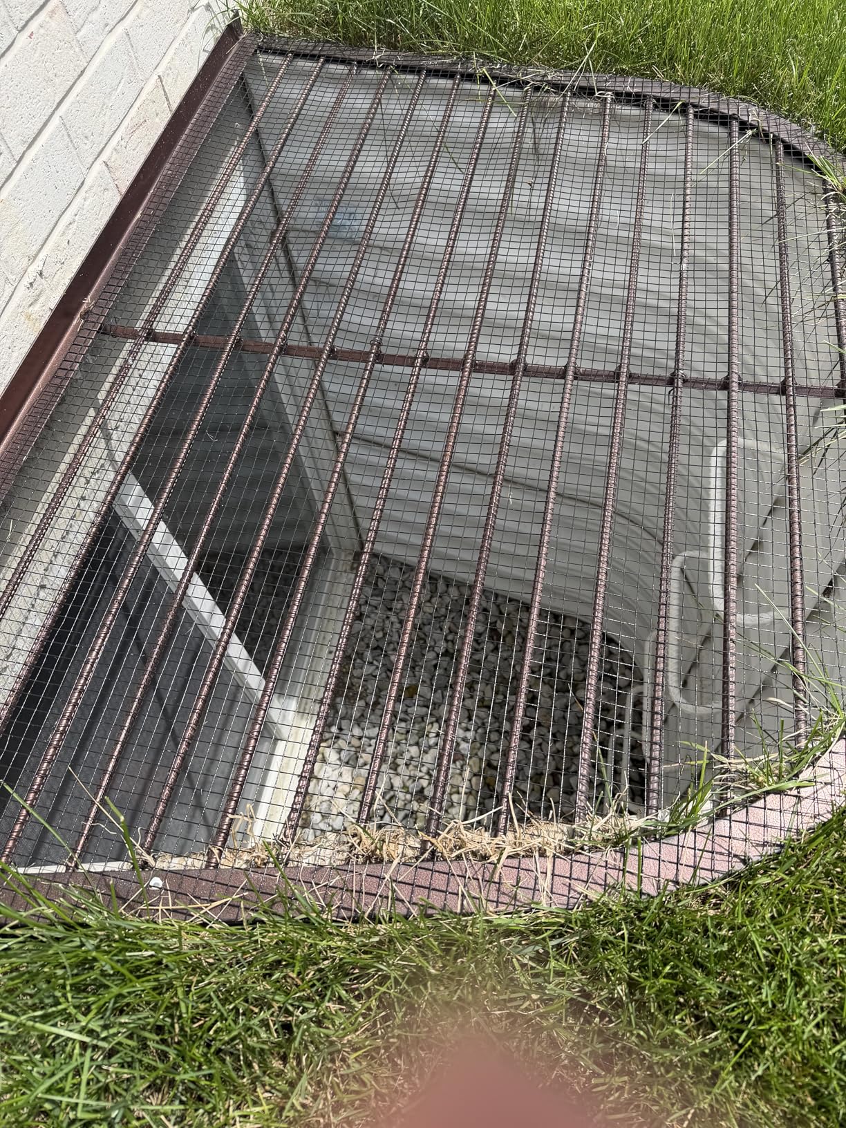 Black Hardware Cloth 1/2 Inch 48 x 100 Ft 19-Gauge | Chicken Wire Fencing, Welded Wire Fencing, Wire Mesh Roll, Cage Wire, Garden Fencing, Vegetable Garden, Wire Cloth customer photo 1