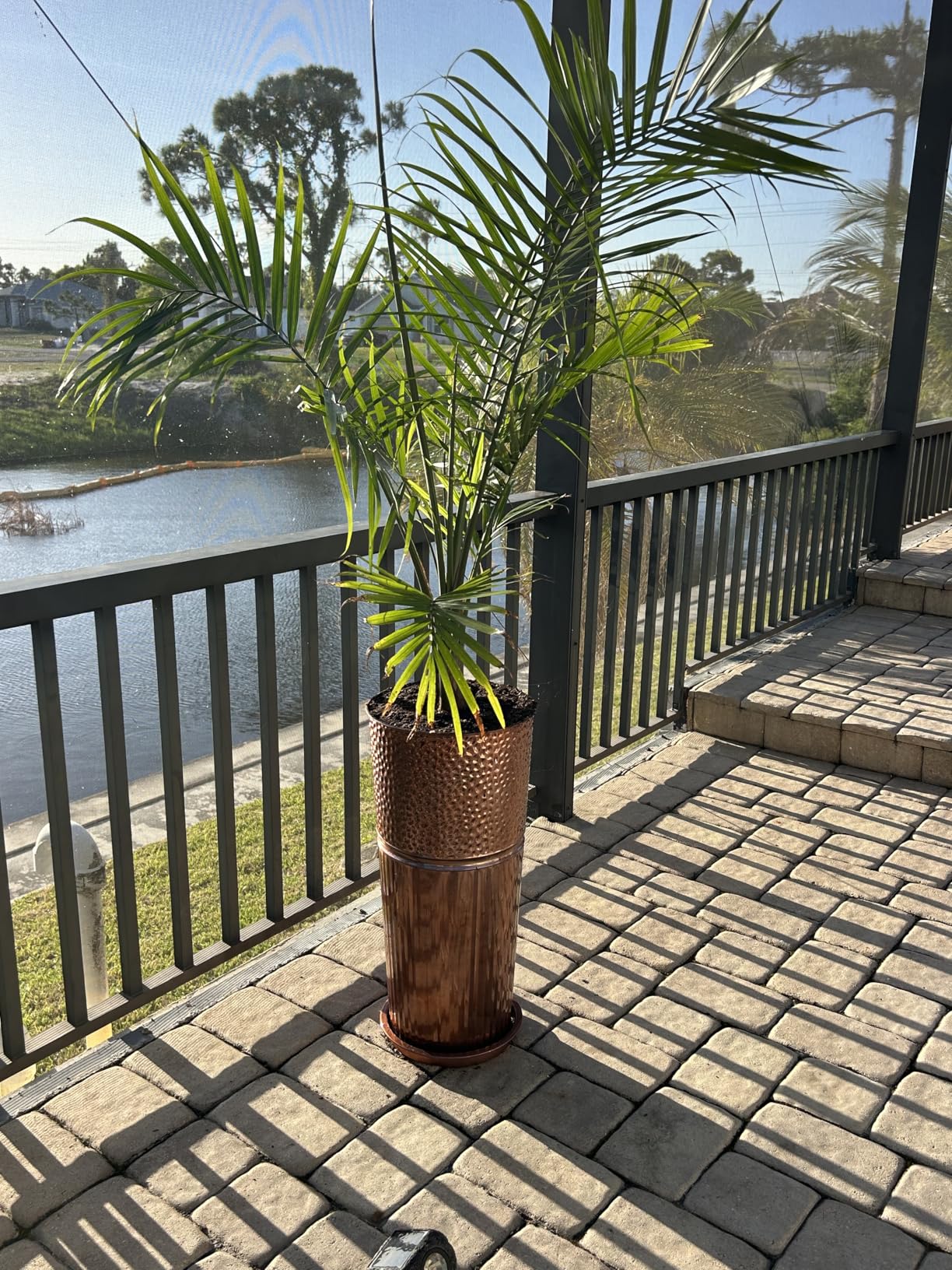 2 Pcs Pack 25 Inches Metal Tall Tapered Planter Pots, Large Galvanized Steel Round Planter Flower Pot with Drainage Holes (Antique Copper) customer photo 2