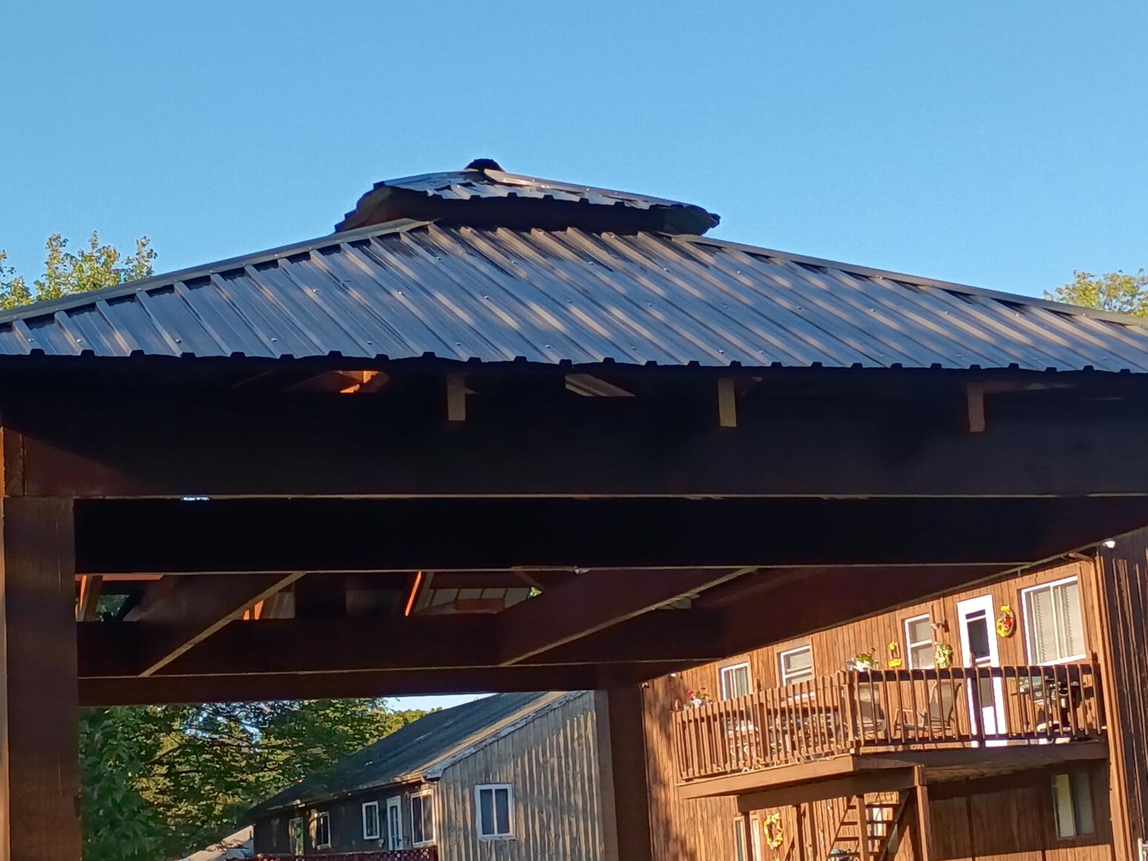 Metal Roof Panels 10 pcs 50 ft² Galvanized Steel Corrugated Tin Roofing Panels Gazebo Top Cover Garages, Sheds, Stables and Mobile Homes Replacement for Patio Outdoor Garden, Black customer photo 1