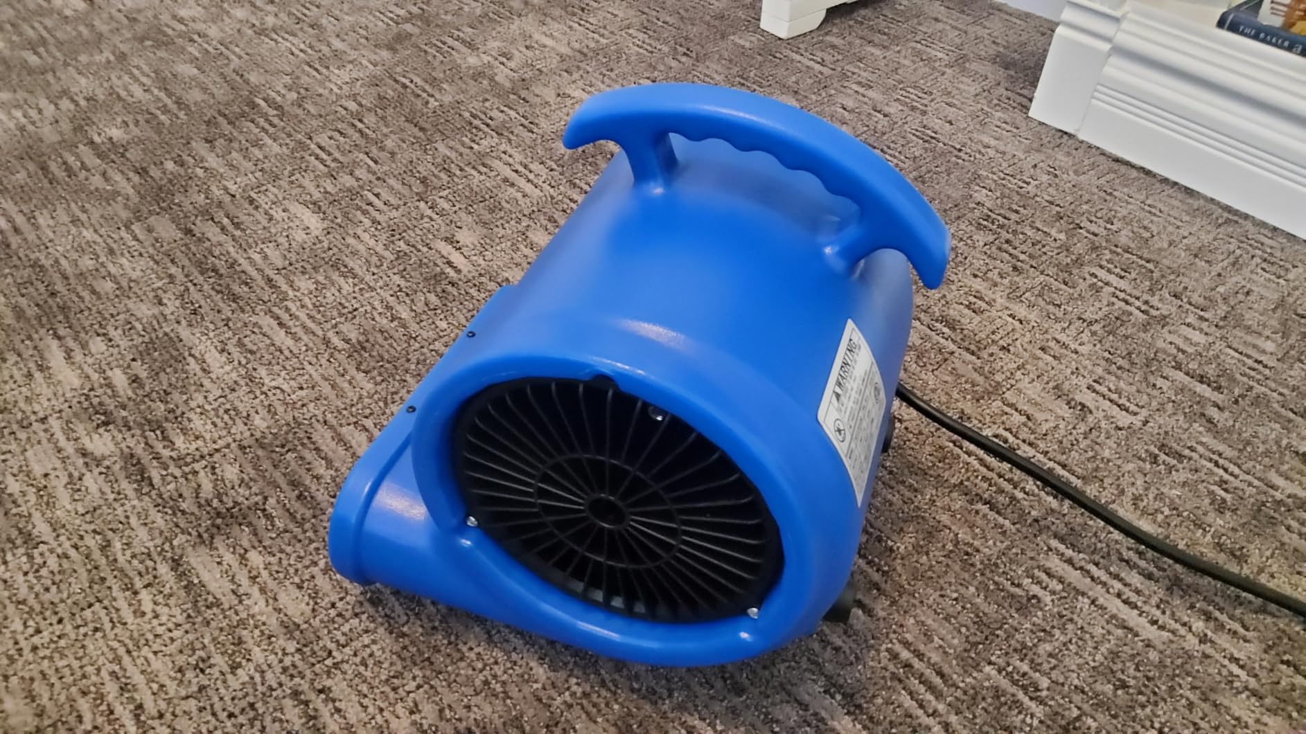 Air Mover Blower Fan, Industrial 1/3HP 1200CFM Monster Floor Blower Carpet Dryer, 3 Speeds Switch, 4 Adjustable Angles, 15FT Long Cord, Stackable customer photo 1