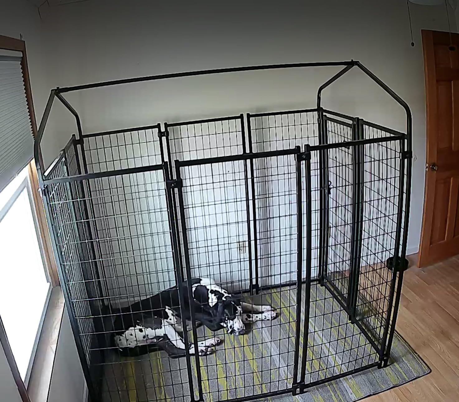 PawHut Outdoor Dog Kennel with Roof, 6' x 6' x 6' Heavy Duty Welded Wire Dog Playpen Enclosure with Escape-Proof Lock, UV-Resistant & Waterproof Cover, for Large Dogs, Chickens, Ducks, Silver customer photo 2