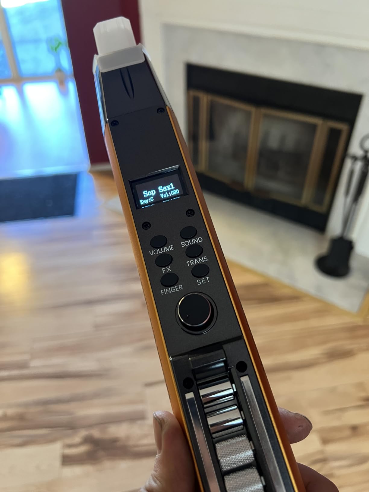 AP 300 Pro Electronic Wind Instrument with Built in OTG Recording and LCD Display Screen. 108 Global Tones Electric Saxophone with 6000Ah Battery and Bluetooth for Right-Handed Players Only (Red) customer photo 1
