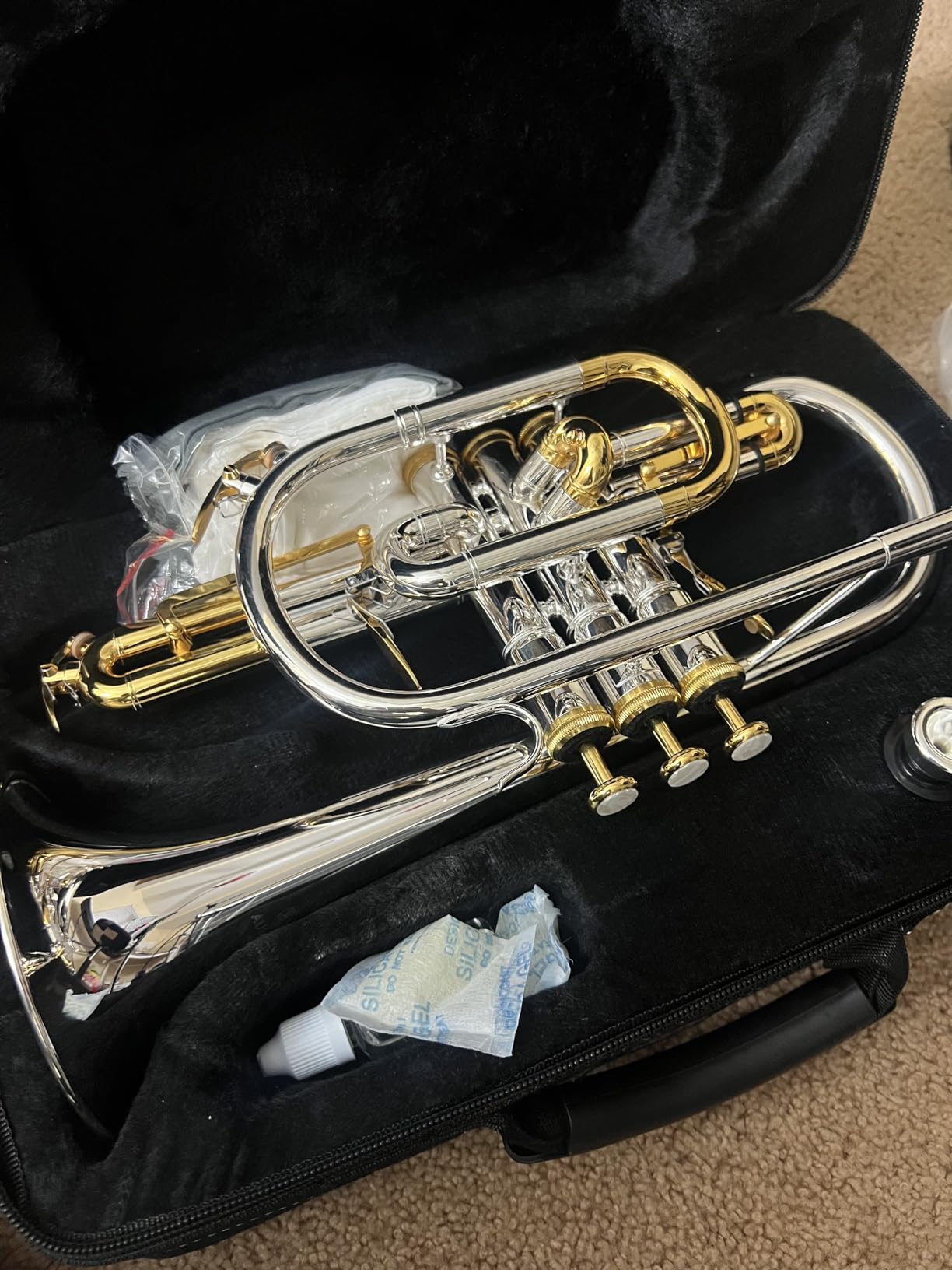 Aurousus Bb Cornet ACR 8330 for Beginners Intermediate Players Stainless Steel Valves ML Bore Gold Brass Leadpipe 120mm Bell Lacquered Lightweight Durable customer photo 2