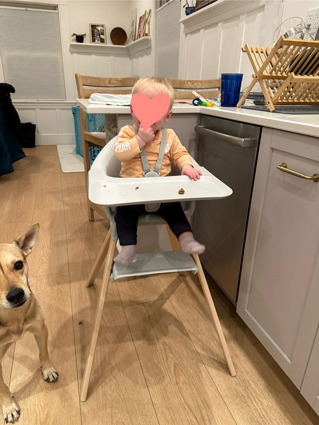 Stokke Clikk High Chair, Black/Warm Brown - All-in-One High Chair with Tray + Harness - Light, Durable & Travel Friendly - Ergonomic with Adjustable Features - Best for 6-36 Months or Up to 33 lbs customer photo 2