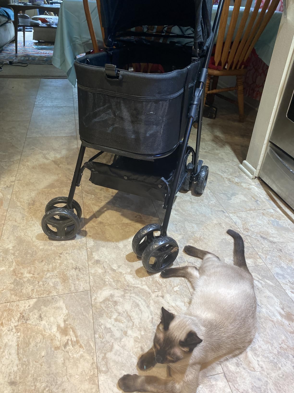 Zoosky 3 in 1 Pet Stroller with Removable Carrier, Folding Stroller for Small/Medium Dogs and Cats, Waterproof, All-Terrain, with Sun Shades, Car Seat customer photo 2