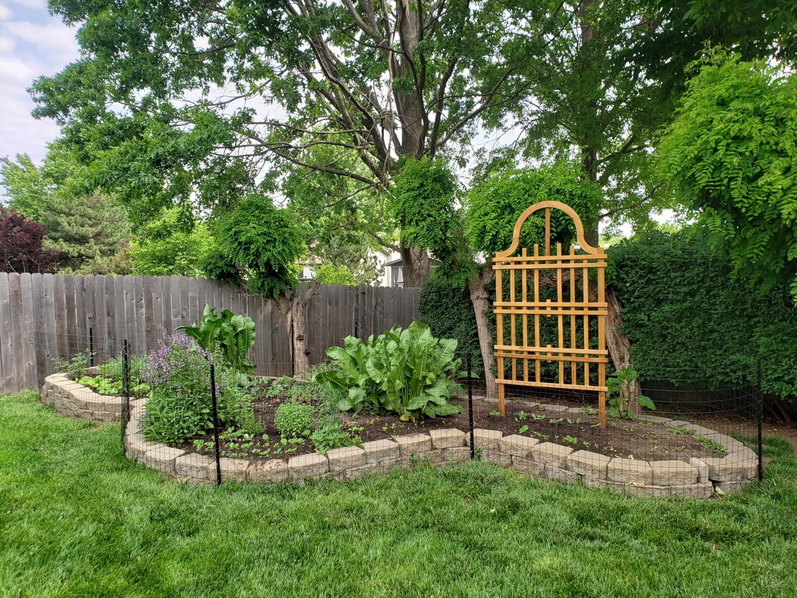 Welded Wire Fence, 100ft(L) x 48inch(H) PVC Anti-Rust Coated Wire Mesh, 2 Inch x 3 Inch 16GA Garden Edging Border, Roll Metal Animal Barrier for Yard Vegetable Plant Protection Poultry Netting customer photo 2