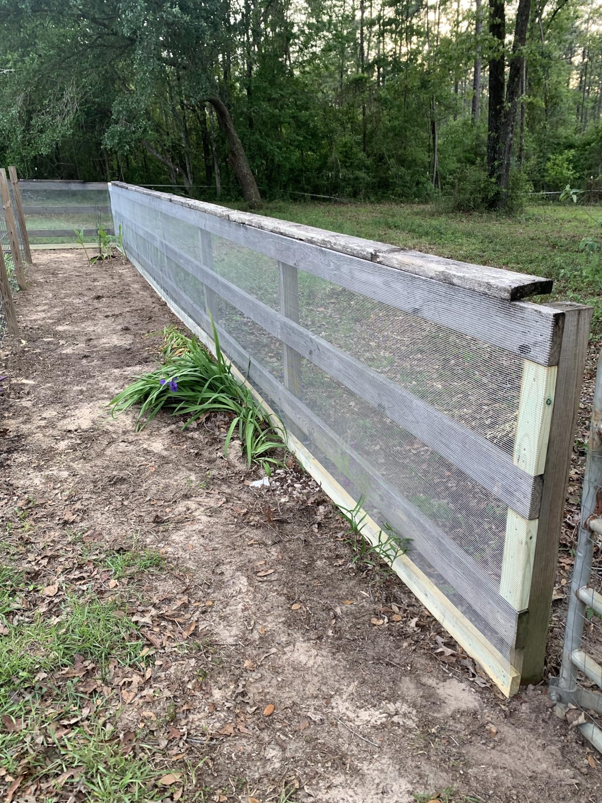 Black PVC Coated Welded Wire Fencing, 48in High x 100ft Long, 2 inch x 4 inch 14GA 2/3/4/5/6 Ft Tall Welded Wire Fence Rolls, Black Metal Garden Fence Wire Roll Garden Fencing for Yard customer photo 2