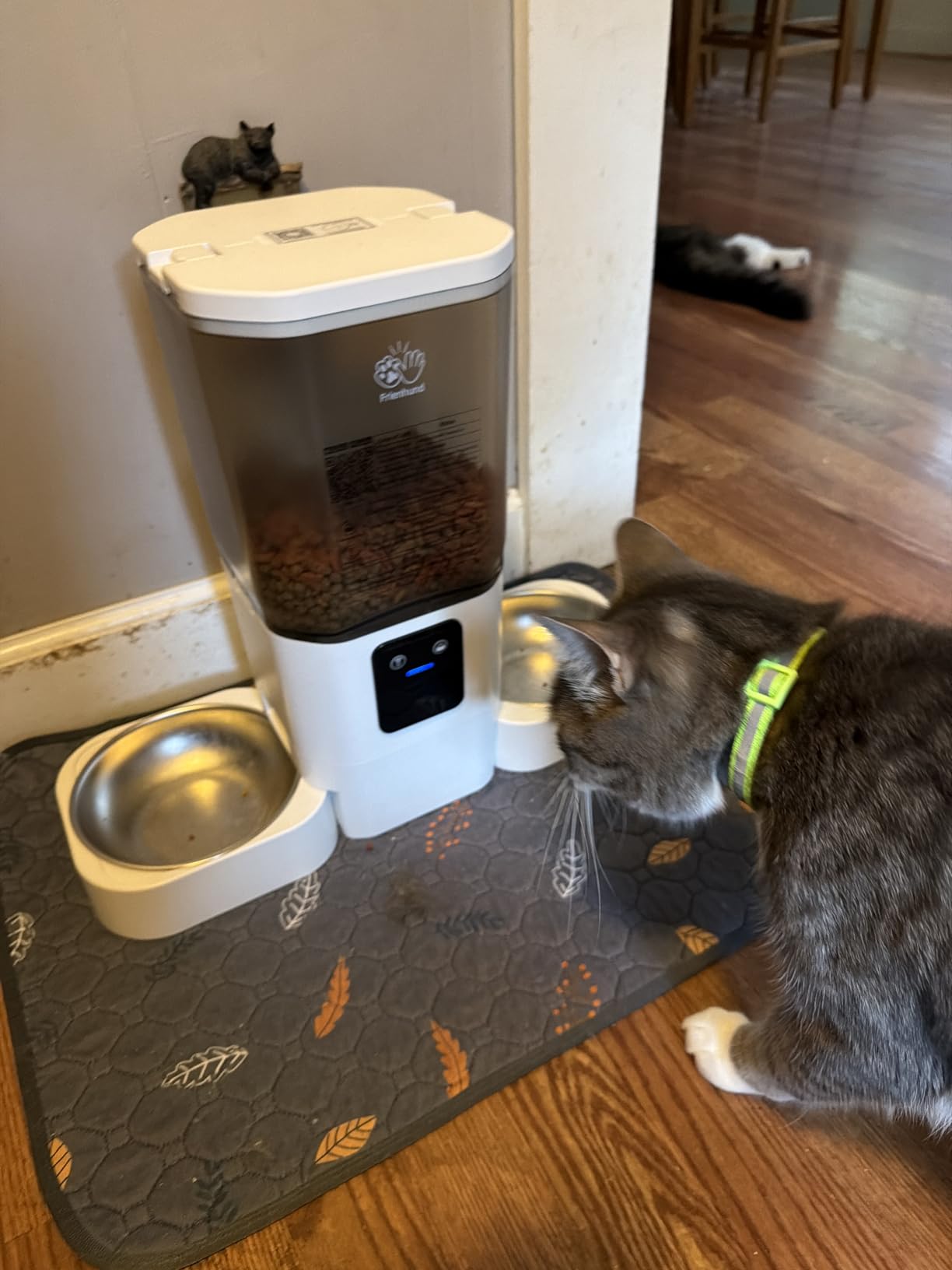 Automatic Cat Feeder with 5G WiFi: Automatic Dog Feeder with Slow Feed & Smart APP Control, 7L Timed Auto Cat Food Dispenser with Alexa for Pets, Detachable for Easy Cleaning - 29 Cups customer photo 1