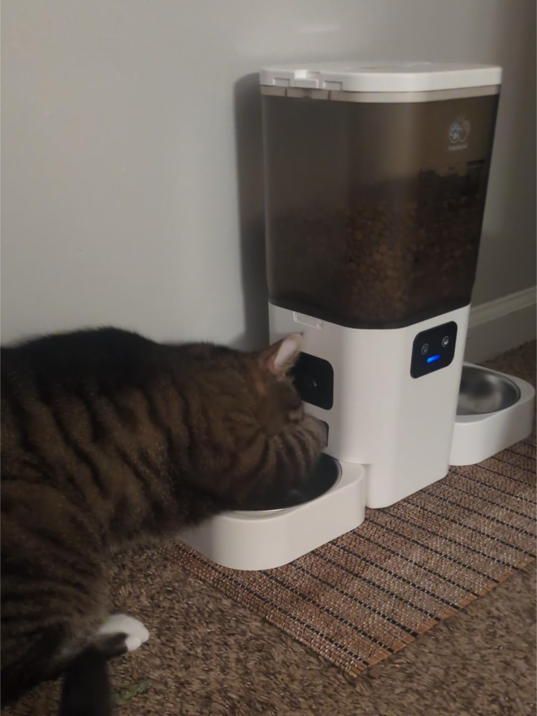 Automatic Cat Feeder with 5G WiFi: Automatic Dog Feeder with Slow Feed & Smart APP Control, 7L Timed Auto Cat Food Dispenser with Alexa for Pets, Detachable for Easy Cleaning - 29 Cups customer photo 2
