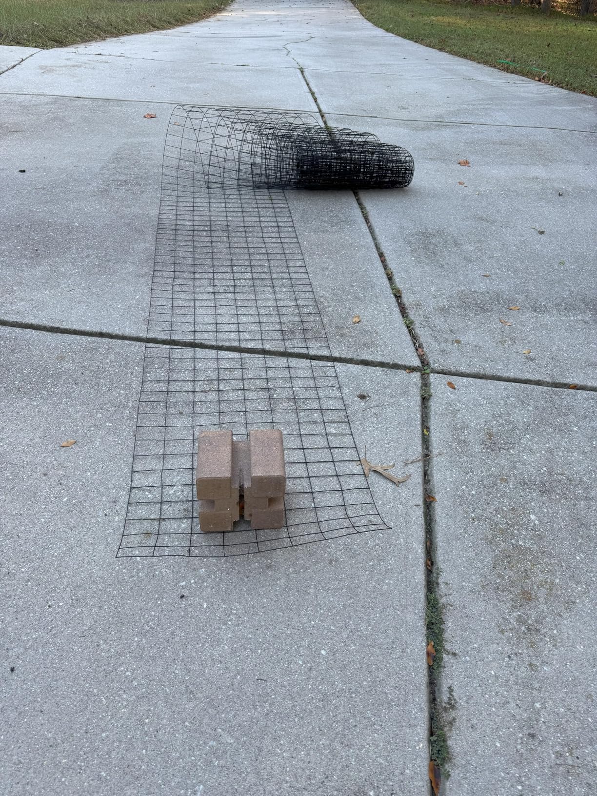 Welded Wire Fence 36inx50ft, 16GA, Mesh Size 2