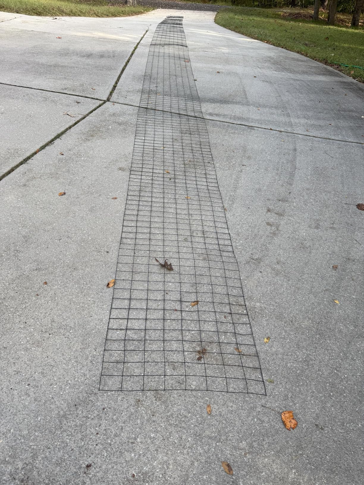 Welded Wire Fence 36inx50ft, 16GA, Mesh Size 2