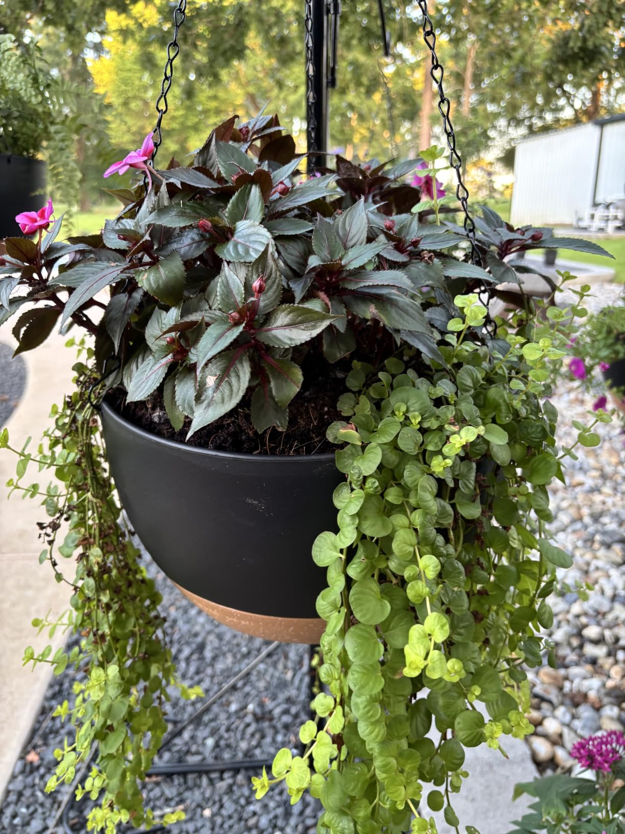UOUZ 13 Inch 2 Pack Large Self Watering Hanging Planters for Indoor Outdoor Plants, Hanging Plant Pots with Removable 50 Oz Reservoir, Plastic Hanging Basket for Window Porch Garden Balcony, Black customer photo 2