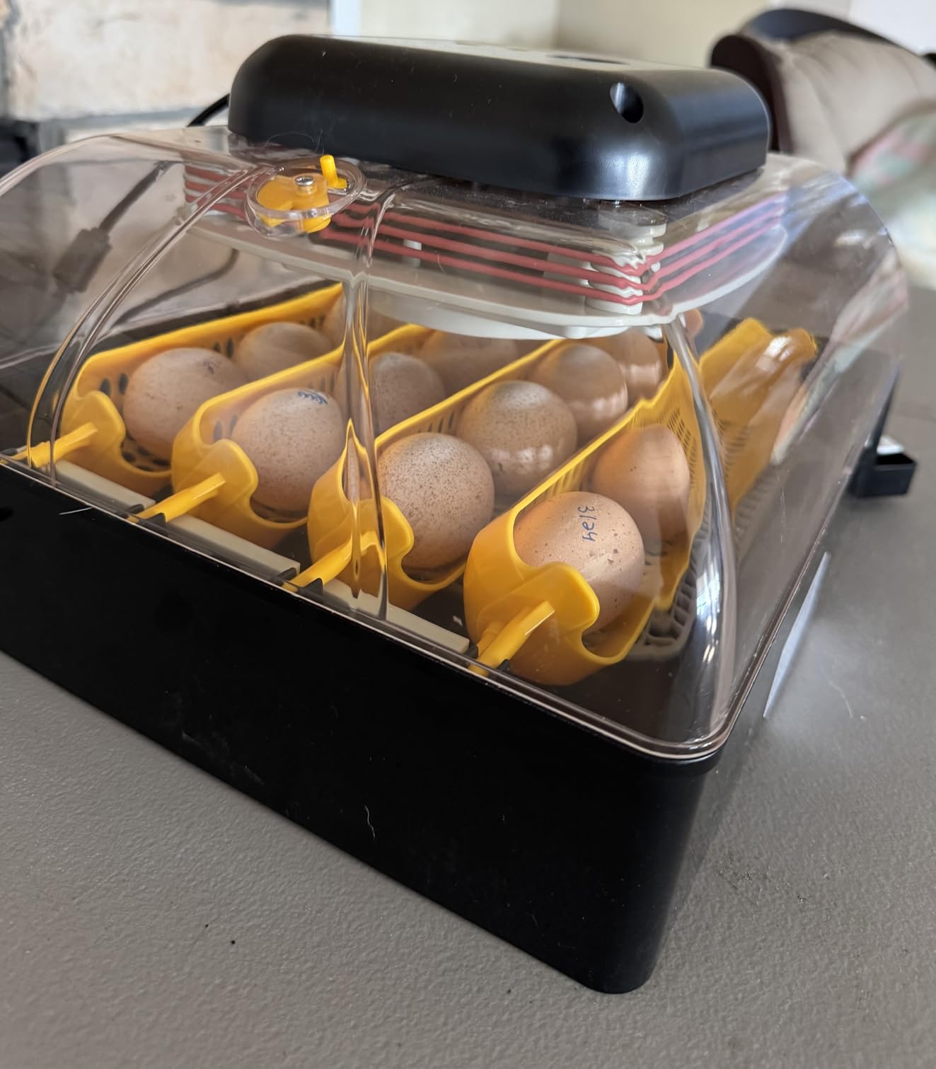 Hatching Time Pro24 Automatic Egg Incubator for Hatching Eggs - Digital Chicken Egg Incubator, Humidity Display, Auto Turner & LED Candler | Hatches 24 Chicken Eggs, Fits Quail, Duck, Turkey, Goose customer photo 1