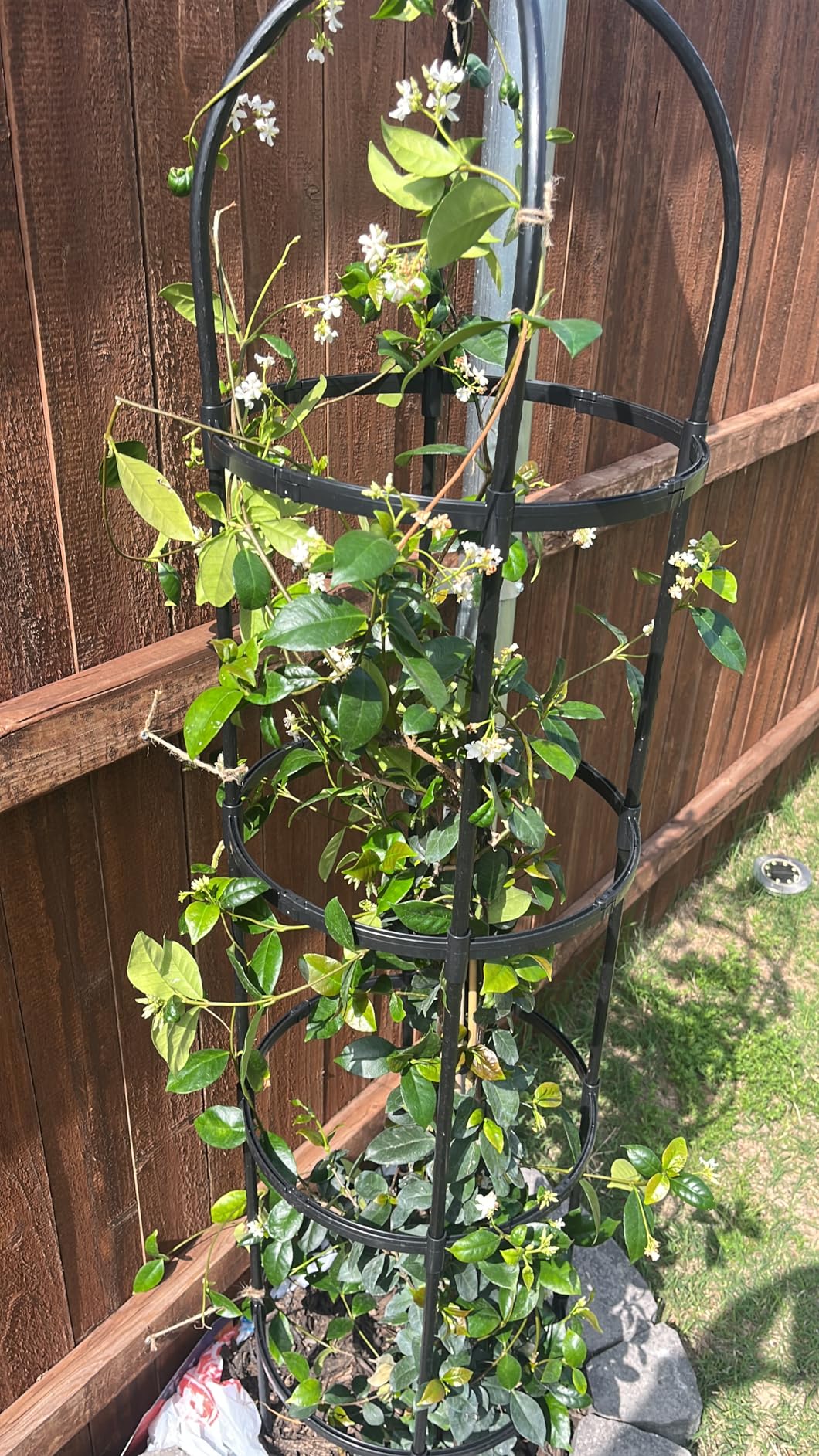 4 Pack Garden Obelisk Trellis for Climbing Plants Outdoor, 6FT Adjustable Metal Plant Support with 3 Decorative Tops, Black Rustproof Trellis for Roses, Tomatoes, Clematis & Vines customer photo 2