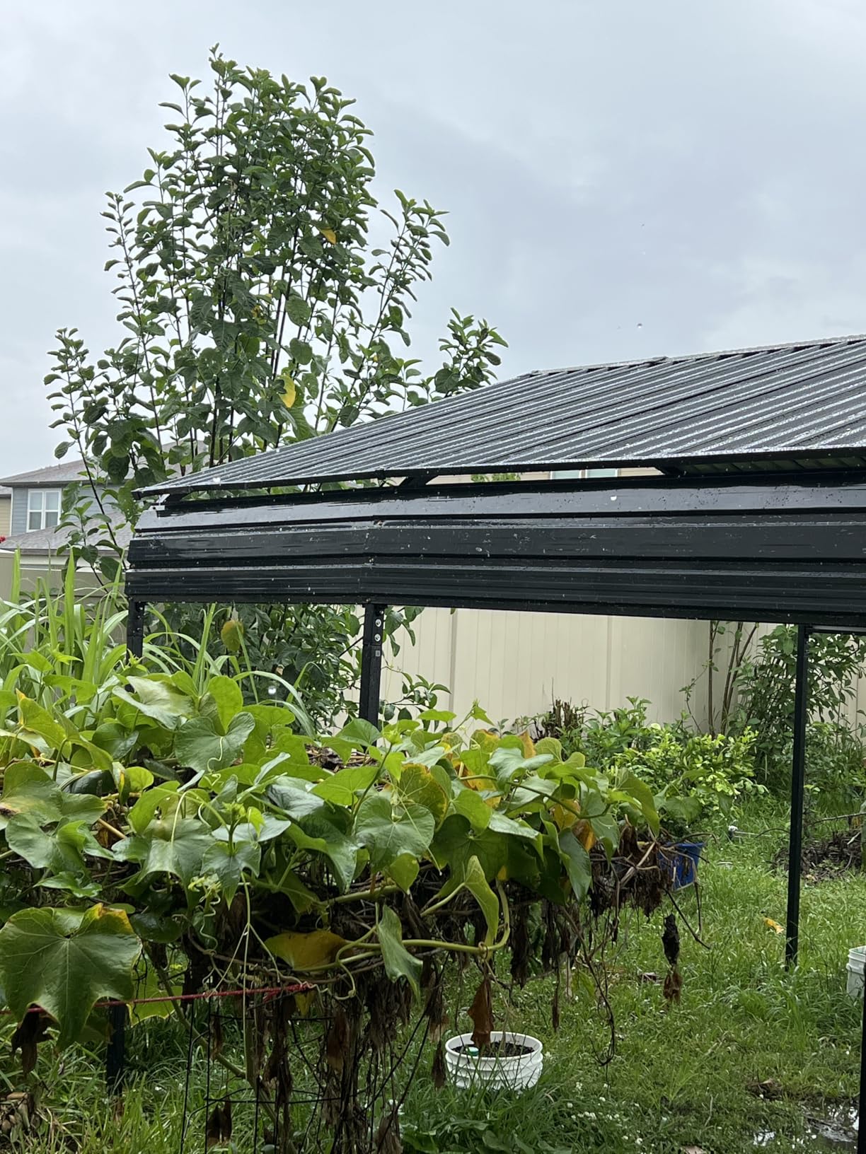 Aoxun Metal Carport, 12x20 Heavy Duty Carport Canopy with Reinforced Frame and Enhanced Base, Garage Outdoor Galvanized Car Shelter for Pickup Trucks, Cars, SUVs, Tractors and Boats customer photo 1
