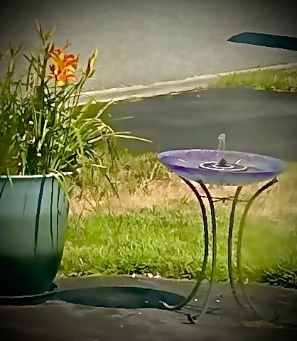 Yzert Solar Fountain, 3-Level Adjustable Water Height, 3.5W Glass Powerful Outdoor Fountain Pump with Rotating Rods & 7 Nozzles for Bird Bath, Garden, Pond, Patio, Flower Pot (2026 Model, Black) customer photo 1