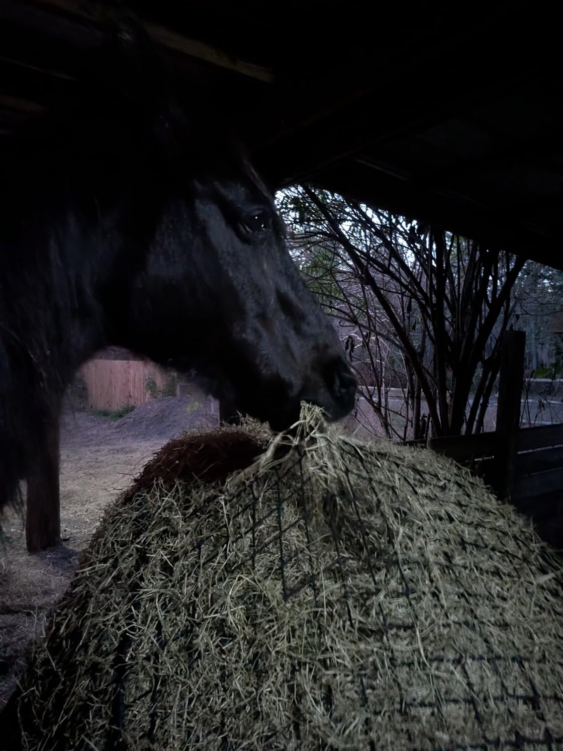 6x6 ft Round Bale Hay Net - Slow Feeder for Horses & Livestock, Extra Dense 2