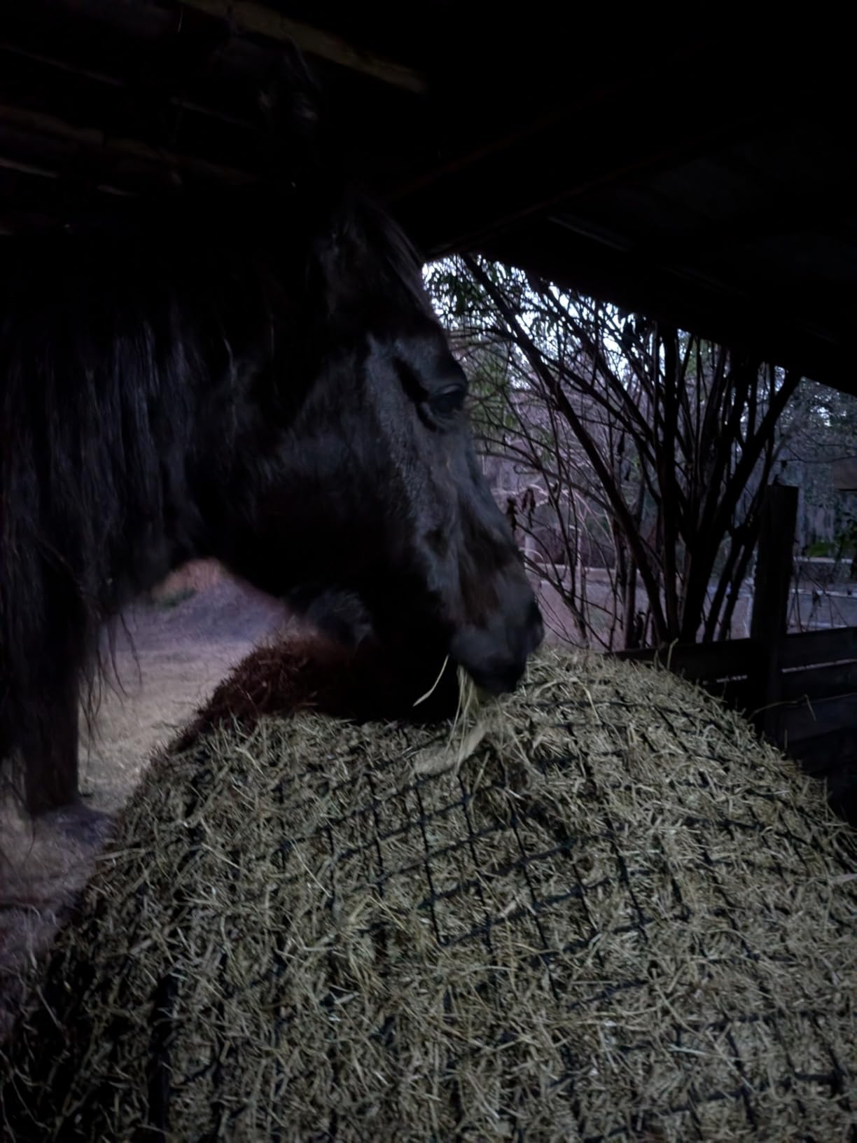 6x6 ft Round Bale Hay Net - Slow Feeder for Horses & Livestock, Extra Dense 2