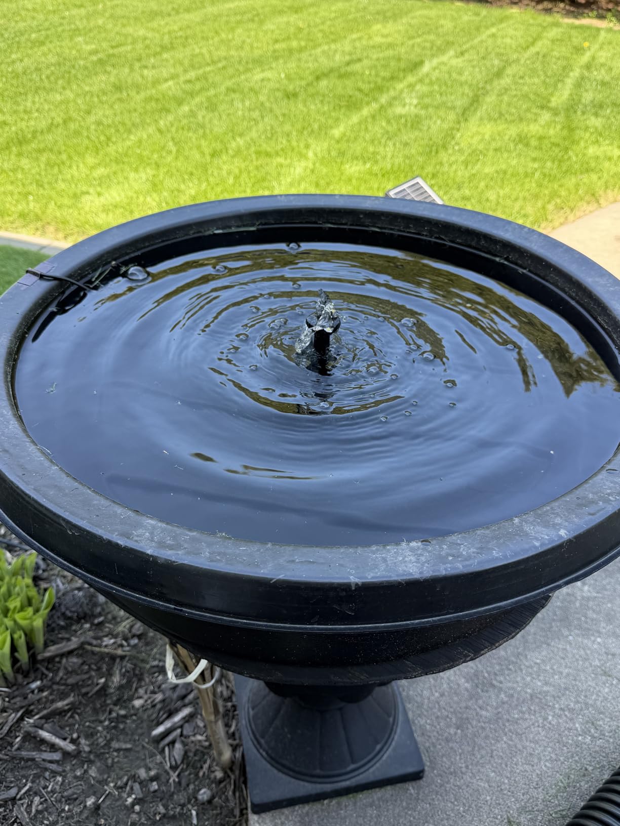 Antfraer 7W Solar Fountain Pump with 3600mAh Battery Backup & Pond Filter, Solar Water Fountain Pump with 8 Nozzles & PVC Tubing, Solar Fountain for Bird Bath, Small Ponds, Waterfall, Hydroponics customer photo 1