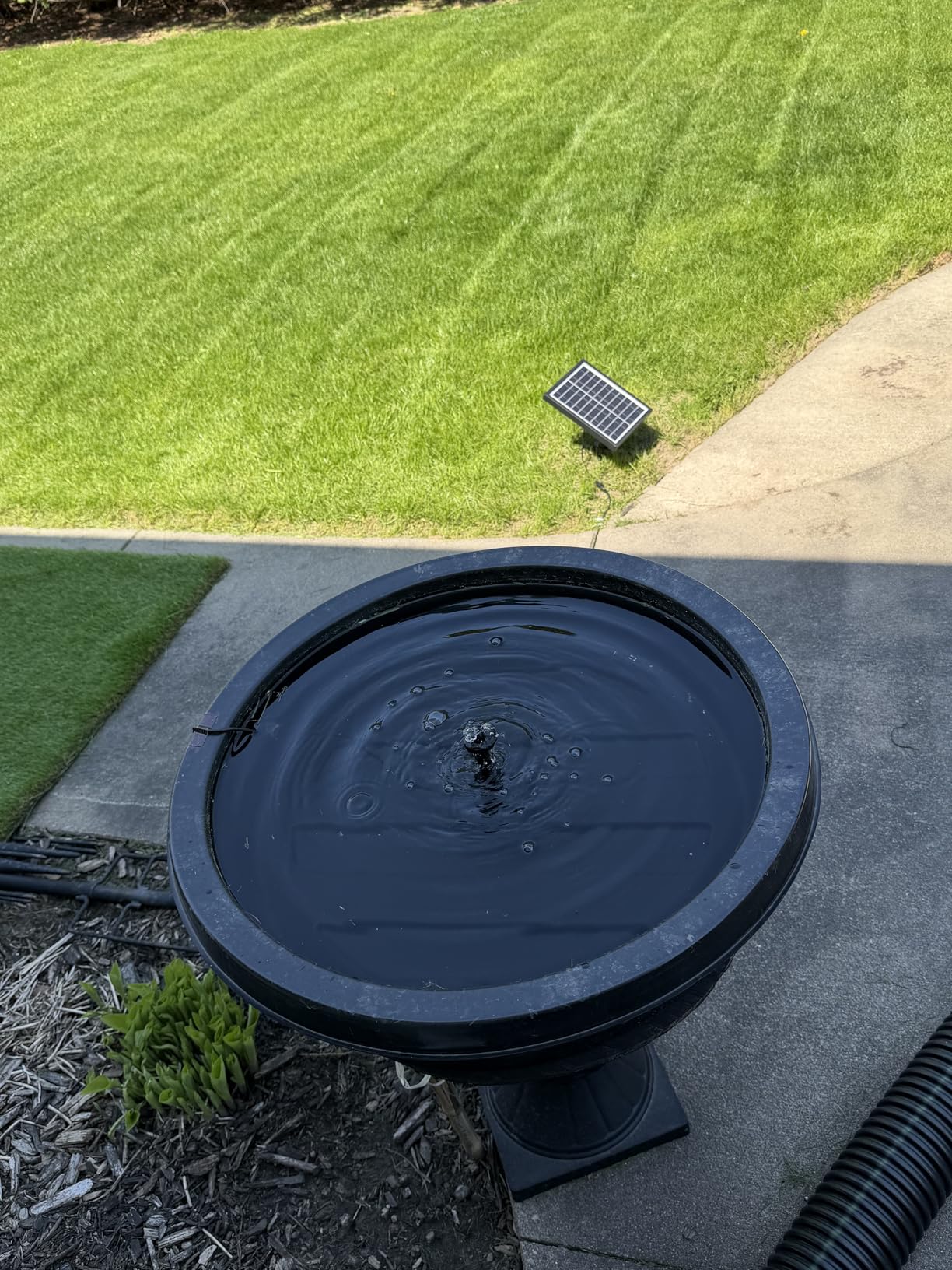 Antfraer 7W Solar Fountain Pump with 3600mAh Battery Backup & Pond Filter, Solar Water Fountain Pump with 8 Nozzles & PVC Tubing, Solar Fountain for Bird Bath, Small Ponds, Waterfall, Hydroponics customer photo 2