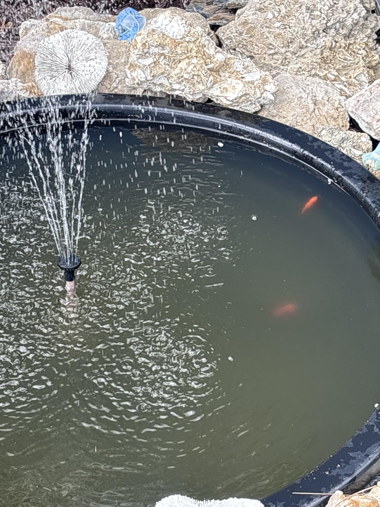 POPOSOAP 8W Solar Pond Filter Built-in 3600mAh Battery Backup, Solar Pond Filter with Water Pump, Solar Water Fountain Pump for Ponds Fish Tank Bird Bath Waterfall Garden DIY Water Feature P3081D customer photo 1